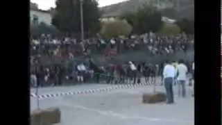 Corsa degli asini