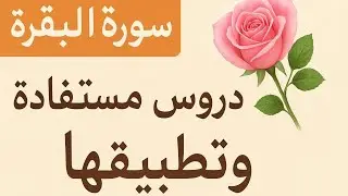 تلاوة هادئة من سورة البقرة | دروس مستفادة وكيف نطبقها في حياتنا 🌿