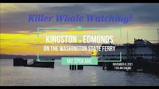 Washington State Ferry Edmonds to Kingston --Whale Watching Sailing!