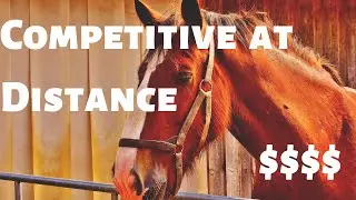 Competitive at Distance Angle in Horse Racing