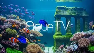 Aqua TV Relaxing Aquarium Builder | Design Your Underwater World | Peaceful GAMEPLAY # 53