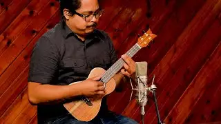 Timber Concert Ukulele by Ortega Guitars - Solid Acacia Top - RUACA-CC