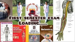 From late nights to early mornings: behind the scenes of my exam prep!🤕😵‍💫🥶 #exam #bpt #funny #vlog