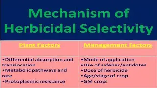 Mechanism of Herbicidal Selectivity