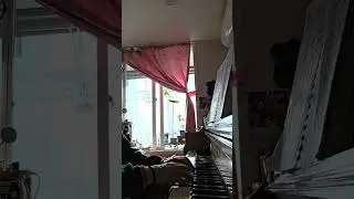 양떼를떠나서