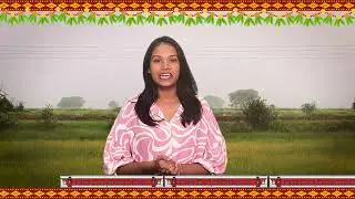 North Central Railway Festival Special Trains 2025 | NCR Railway Updates #shorts #train #railway