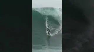Head high+ #surfing #californiasurf #surfside #waves #beach