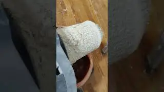 How to keep your vacuum cleaner filter CLEAN