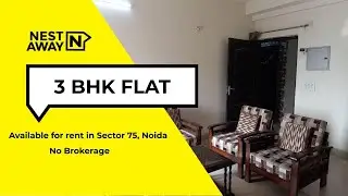 3 BHK Flat for rent in Noida | Sector 75 | Family | 2-months Security Deposit