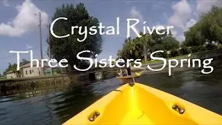 Kayaking in Crystal River and swimming in Three Sisters Spring