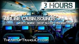 3 HOUR VERSION | AIRPLANE CABIN SOUNDS - REST & RELAXATION WHITE NOISE | Sleep Focus Productivity