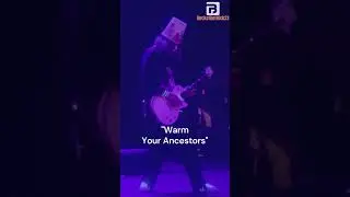 Buckethead Sizzles Warm Your Ancestors Solo Orlando 2025 #buckethead #ancestors #livemusic #guitar