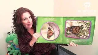 Story Time for Kids: Monarchs - Learn All About Butterflies!