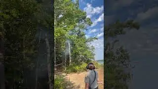 Ranger Davies shooting pyro at vultures