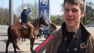 HansePferd