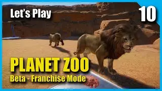 Planet Zoo (Beta - Franchise Mode) - 10 - WEST AFRICAN LIONS