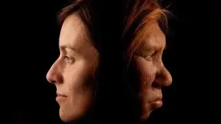 Denisovans Unearthed: The Prehistoric Mystery #denisovan #human #humanity #genetics  #prehistoric