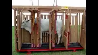 TRONCO COIMMA CONVENCIONAL.wmv