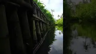Kerala Backwaters #boating #kerala #keralabackwaters #godsowncountry #travel#shortsindia #shorts