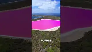 The Lake That Changes Colors Overnight #Shorts #Facts #DidYouKnow #QuickFacts