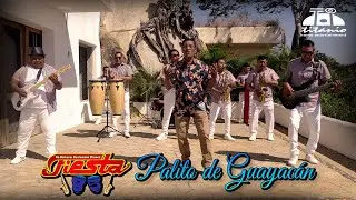 Fiesta 85 - Palito de Guayacán (Official Video)