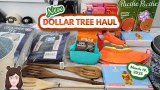 NEW DOLLAR TREE Haul!  Awesome Finds!  Everything was $1.25!!  March 19, 2025