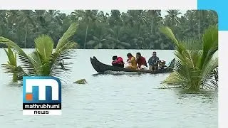 Widespread Crop Loss Reported In Upper Kuttanad Regions| Mathrubhumi News