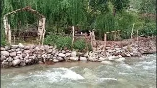 جوله2 في اوريكه 