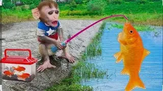 Monkey and the fish @mind_warehouse @YD.studio75 new Happy baby tv 0.2