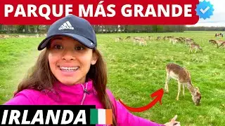C&oacute;mo Encontrar Venados en Dublin? Phoenix Park | IRLANDA 🇮🇪