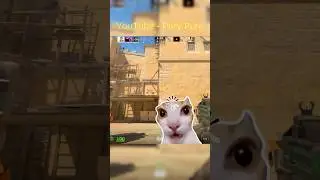 VALVE ВВОДИТ ИГРОКОВ В ЗАБЛУДЖЕНИЕ☹️ #cs2 #csgo #purypure