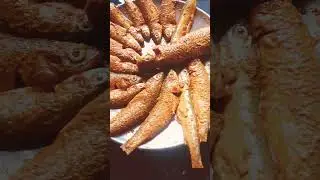 Fish haldi ceremony ☺️ #song #sorts #music #duet #love #viralshort #video #views #viral