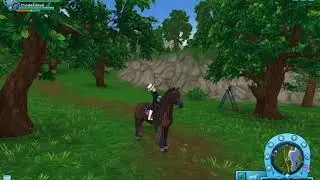 Spoiler: New horse | Starstable
