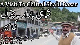 A Trip To Chitral Shahi Bazar | Chitral Shahi Bazar Ki Sair | Chitral Aalam Kabab | Chitral