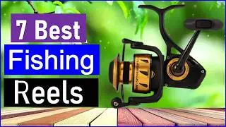 Best Fishing Reels in 2026 | Top 7 Best Fishing Reels - Reviewed