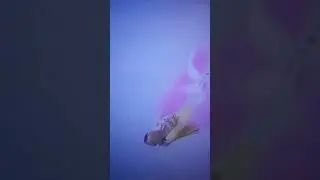 cute cutout contrail in fortnite