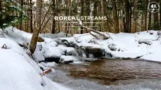 Frozen Waterfall | Relaxing Nature Sounds of Flowing Water