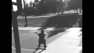 Skate bail