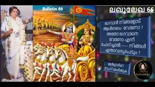 Bulletin 66