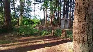 Joema Beach State Park
