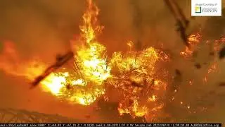 French Fire makes run at Shirley Peak Fire Camera 8/20/21
