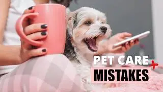 5 ошибок в уходе за домашними животными, которые вы совершаете (и как их исправить!)