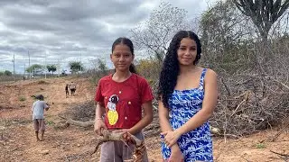 hoje fomos pegar lenha com a Angelina 