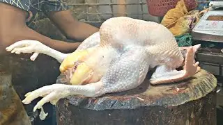 More Chicken Cutting Skills in Bangladesh | Big Chicken cutting by Bangladeshi Butcher - BD Fish
