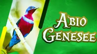 TEORIA da ABIOGÊNESE || A Origem da Vida 01