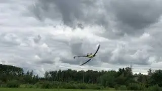 Mikado Logo 700 flight and crash (