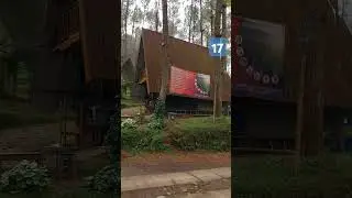 Sejuk banget udara disini #campervan #campervanindonesia #campingcar #short