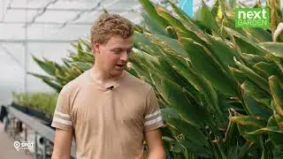 NEXTgarden Ingredient Farm - Kurkuma en zwarte peper teelt in samenwerking met HAS