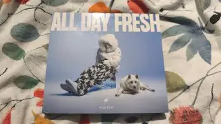 Asster All Day Fresh
