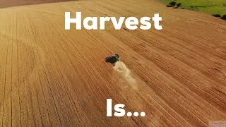 Kansas Wheat Harvest